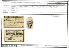 Karteikarte zum Holotyp von Frondicularia bradyana Karrer, 1877